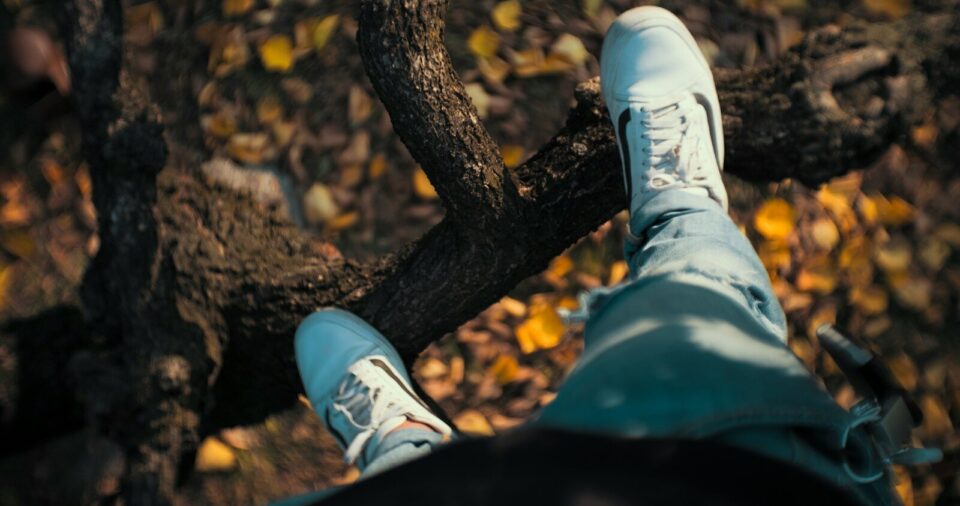 person standing on tree branch