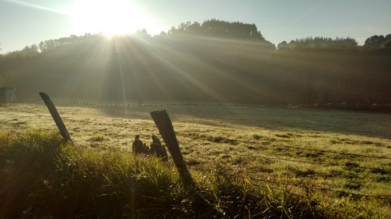 sun, rays, about