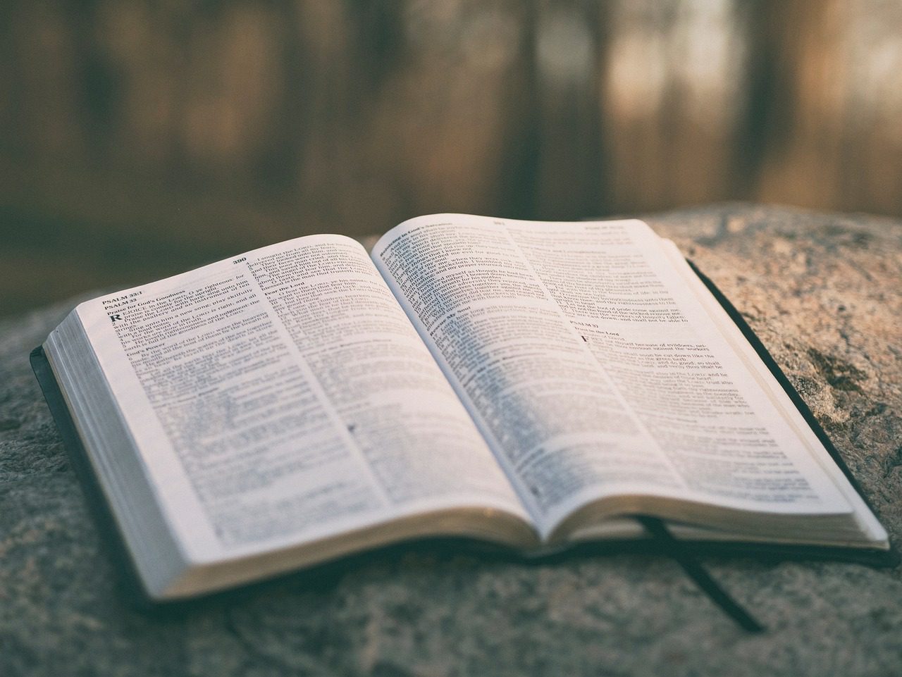 holy, book, bible