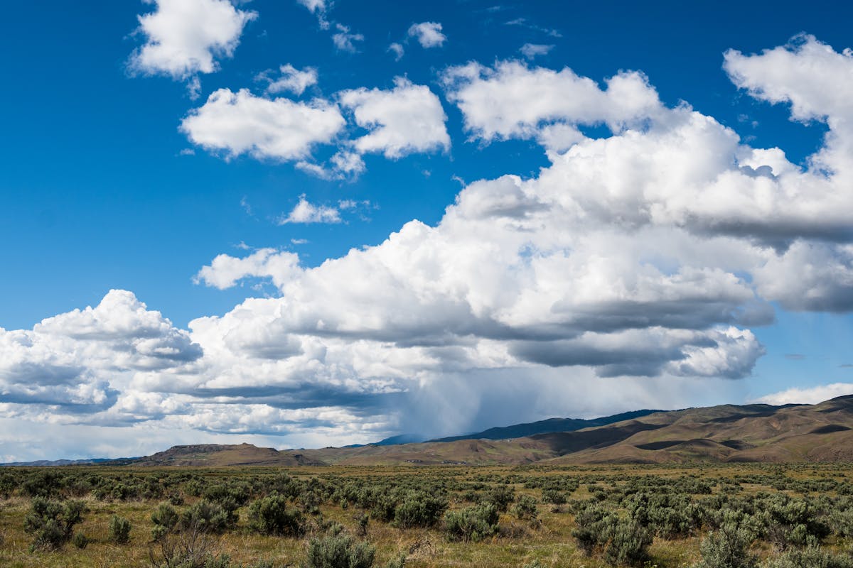 Vast landscape featuring fluffy clouds over a serene grassland and distant hills.