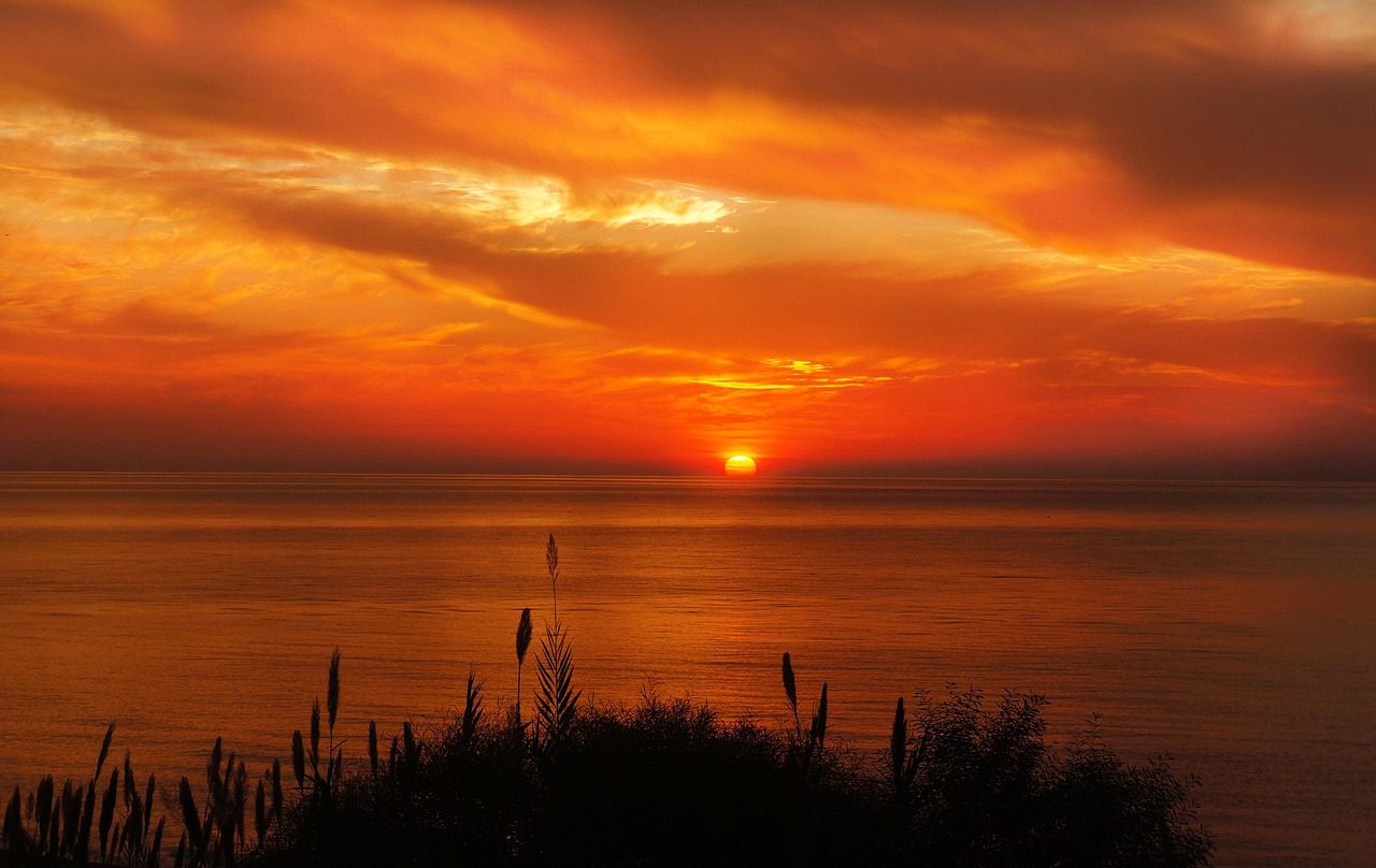 grasses, sea, sunset, sunrise, sun, sunlight, silhouette, coast, seaside, horizon, orange sky, clouds, sky, summer, ocean, seascape, morning, evening, dawn, dusk, scenery, scenic, nature, sunset, sunrise, sunrise, sunrise, sunrise, sunrise, morning, morning, morning, morning