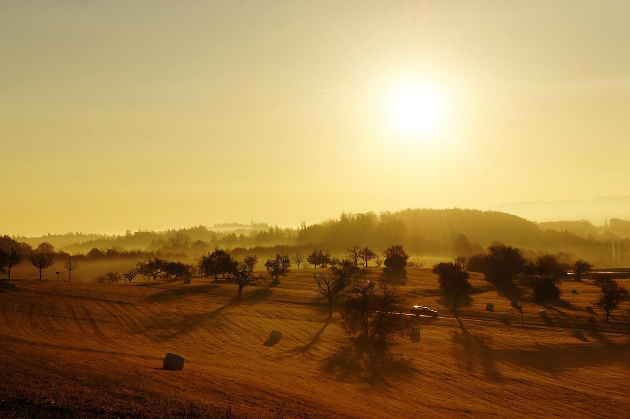 sunrise, landscape, fields, lonely, fall, nature, germany, yellow, sunny, sun, tomorrow
