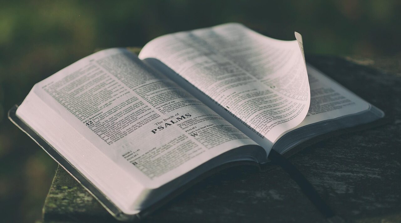 bible, open, book, pages, open bible, psalms, bible reading, faith, religion, prayer, bible verses, chapter, knowledge, literature, outdoors, text, verses, wisdom, bible, bible, bible, bible, bible