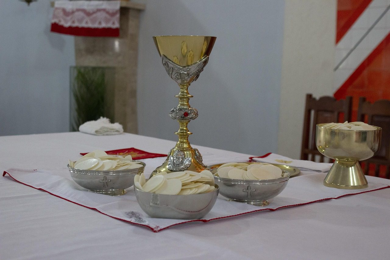 church, communion, cat, eucharist, religion, jesus, christianity, faith, christ, animal, holy, cup, catholic, god, religious, christian, bread, spirituality, cruz, pet, catholicism, wine, celebration, spiritual