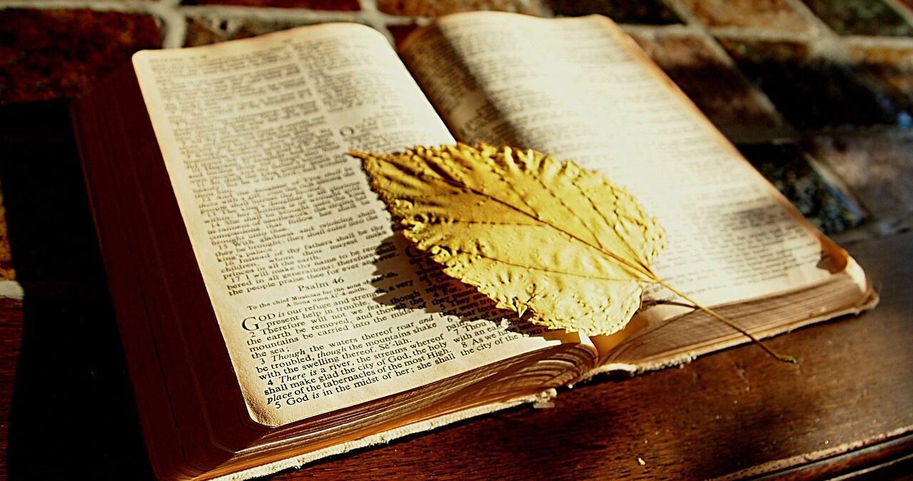bible, bible study, read, book, bookmark, faith, christian, table, bible, bible, bible, bible, bible, bible study