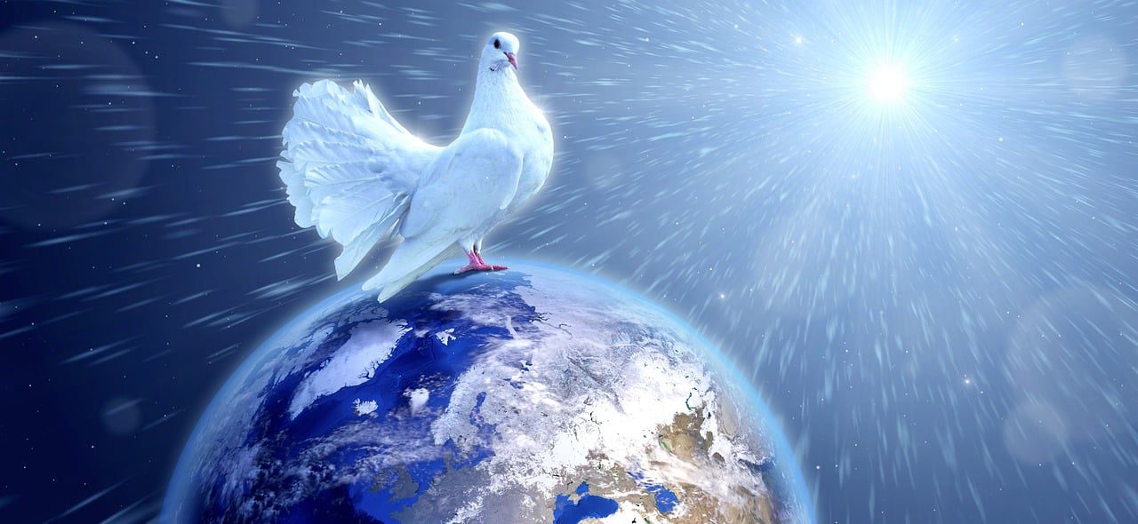 peace, dove, earth, light, hope, freedom, sun, world, nature, planet, shining, symbolic, dynamic, future, shine, mood, fantastic, universe, bird, world peace, dove of peace, love, community, mankind, global, life