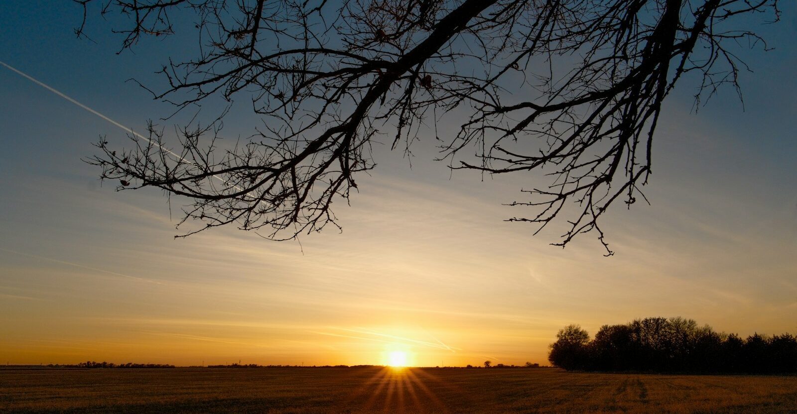 the sun is setting behind a tree in a field