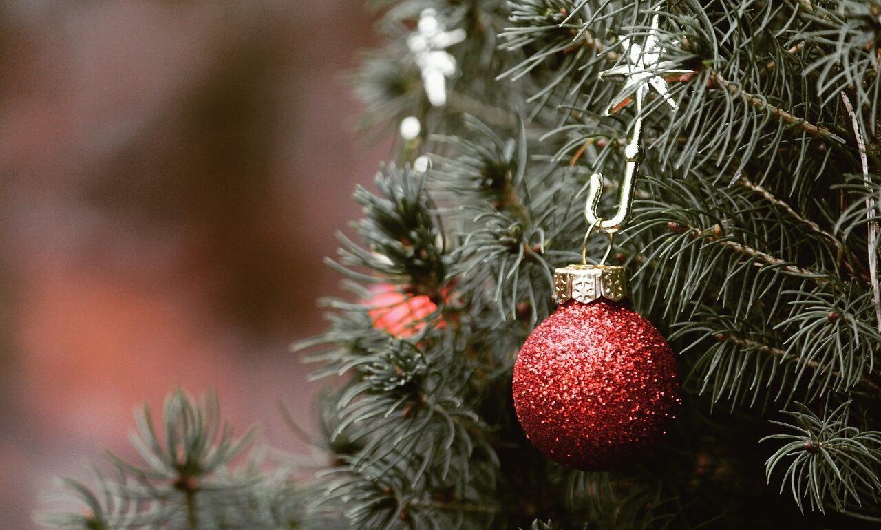 christmas, tree, fir tree, christmas tree, bullet, christmas balls, deco, decoration, red, nature, close up, christmas time, christmas ornament, jewellery, decorate, contemplative, needles, green, christmas, christmas, christmas, christmas tree, christmas tree, christmas tree, christmas tree, christmas tree