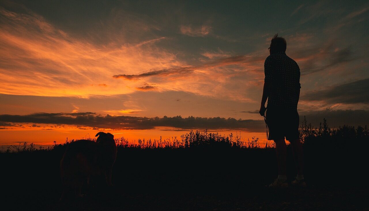 sunrise, man, the silhouette, sky, landscape, nature, clouds, twilight, in the evening, magic, light, atmosphere, staring, shadow, look, scenery, character, a person, guy, alone