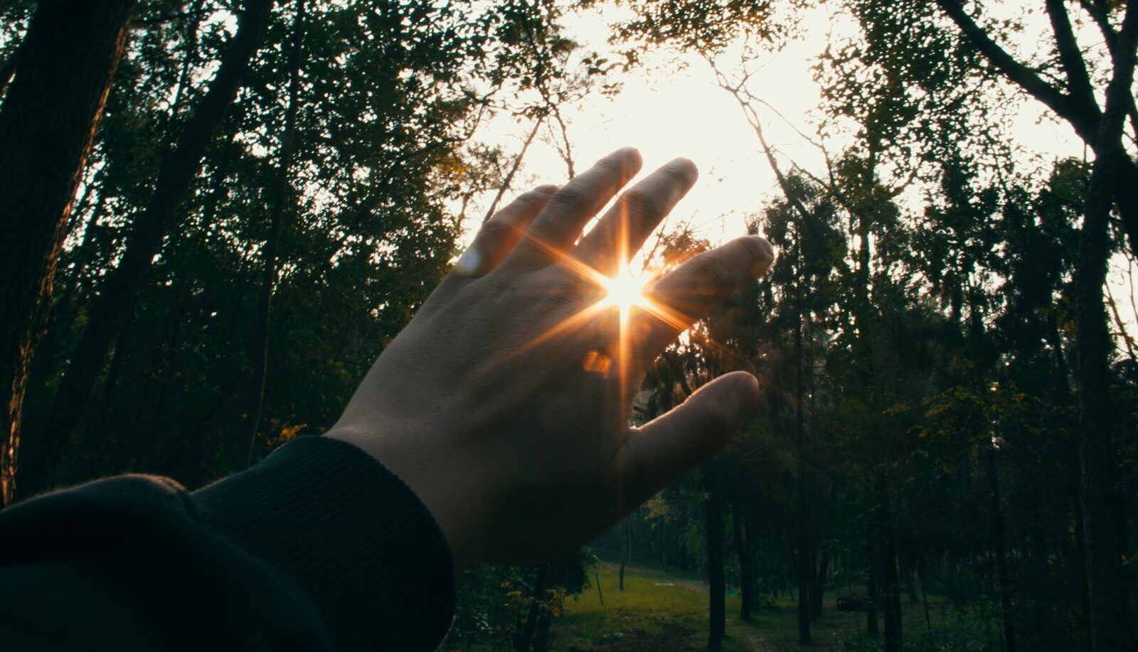 persons left hand with gold ring