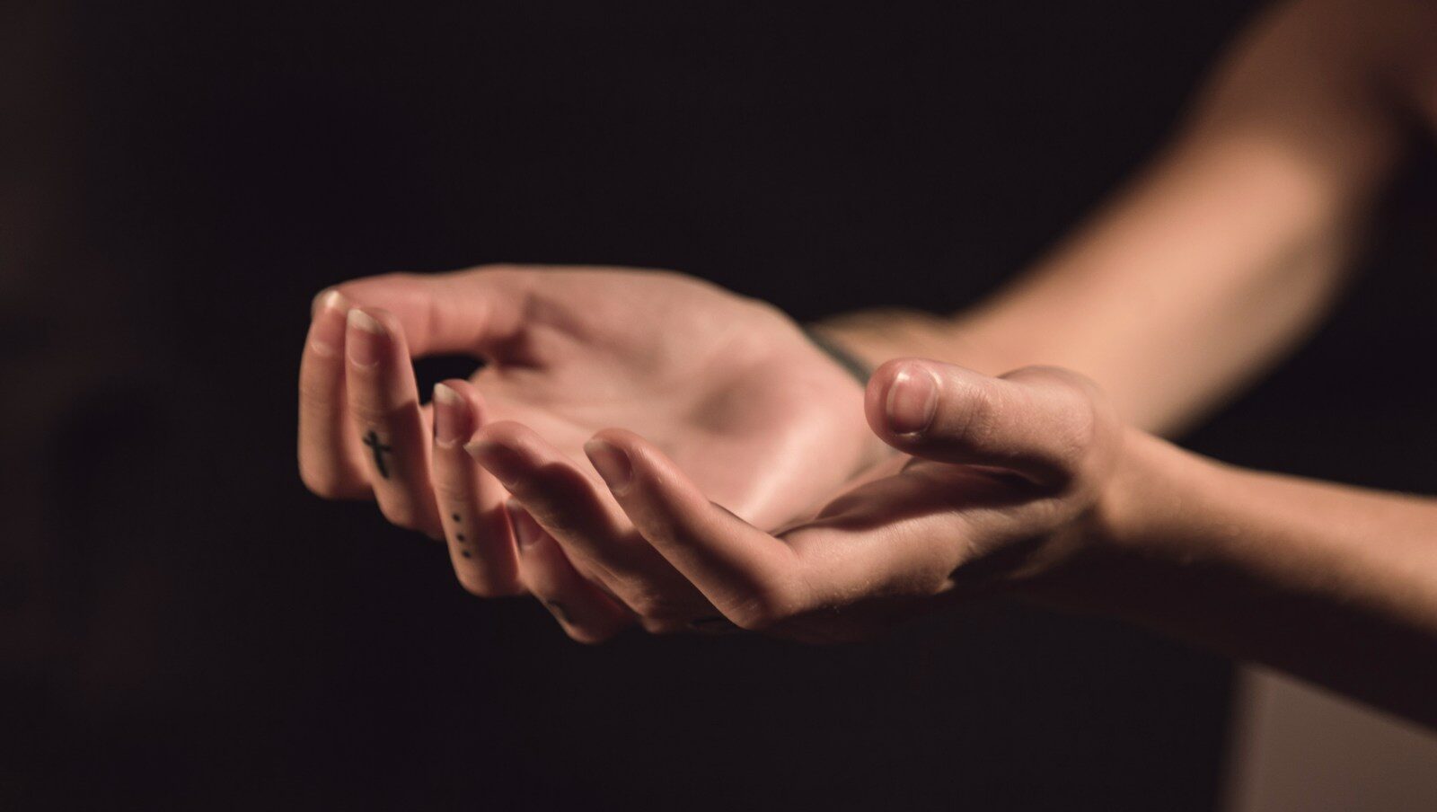 two human palms