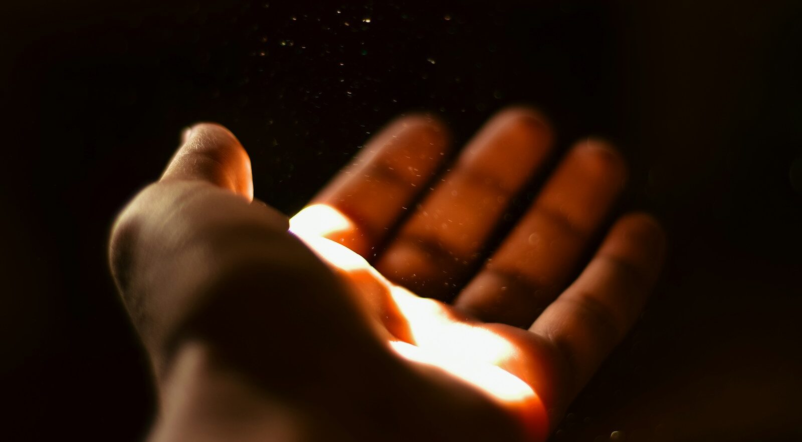 A person holding a hot dog in their hand