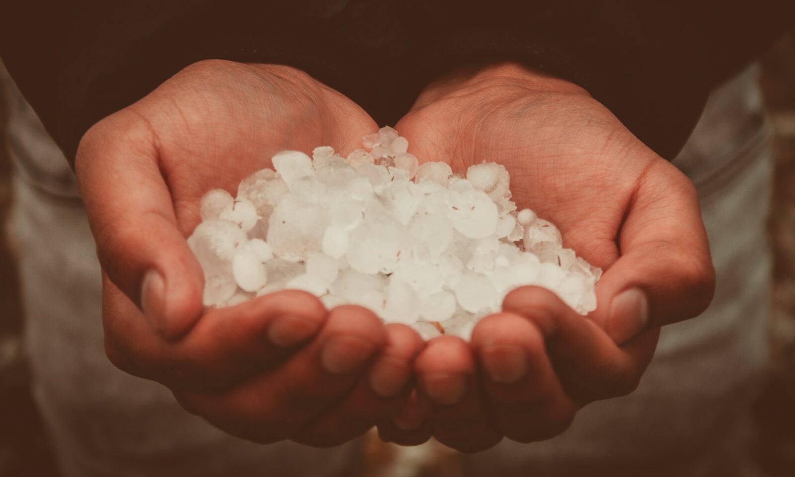 photograph of person holding snow ices