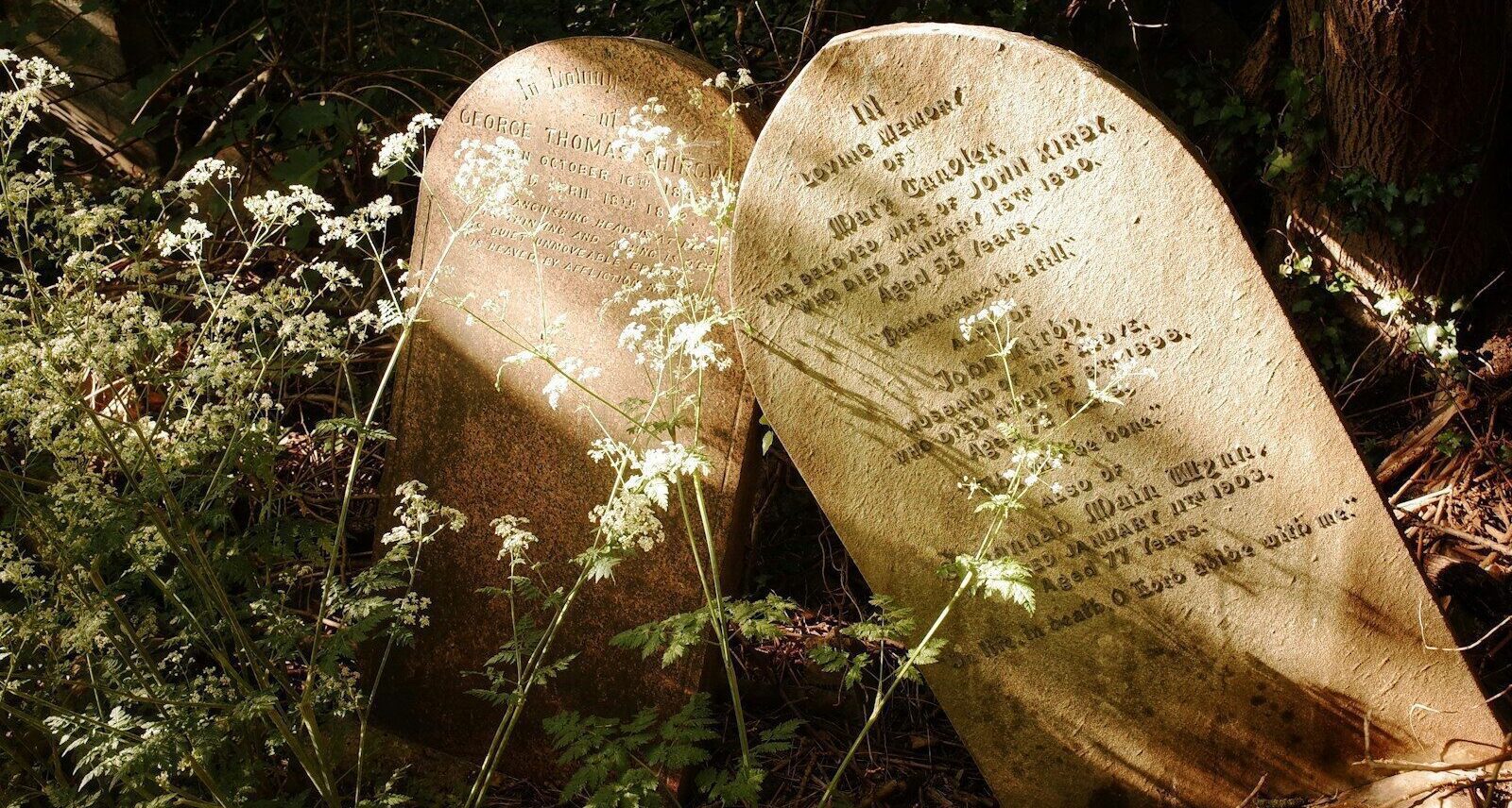 brown wooden heart shaped stone