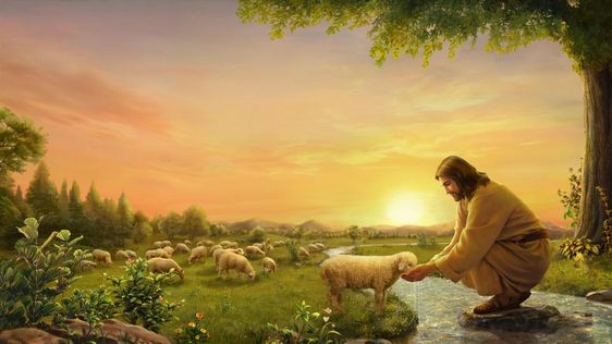 nl.kingdomsalvation.org