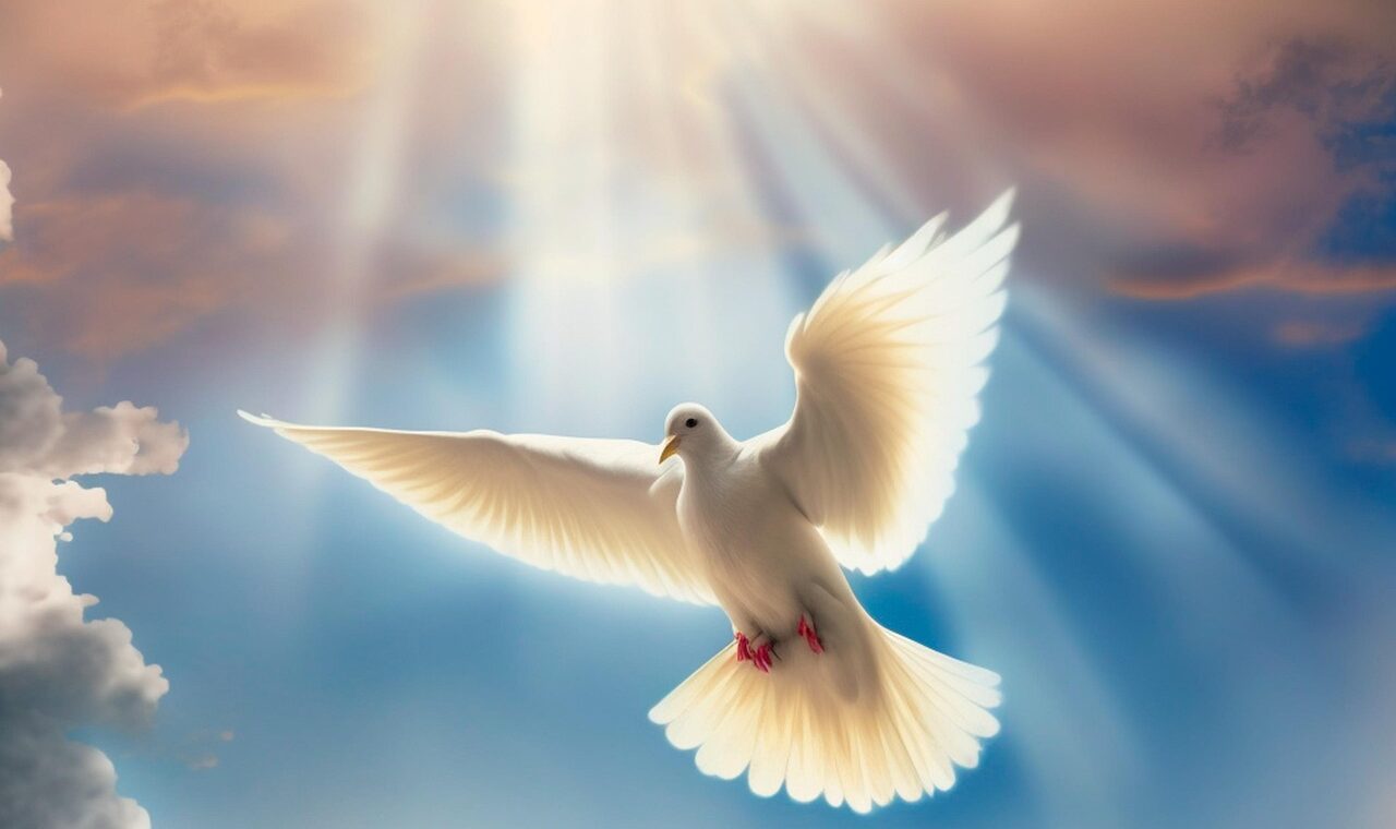 paloma, darling, bird, holy spirit, faith, light, god, nature, trinity, generated by ai