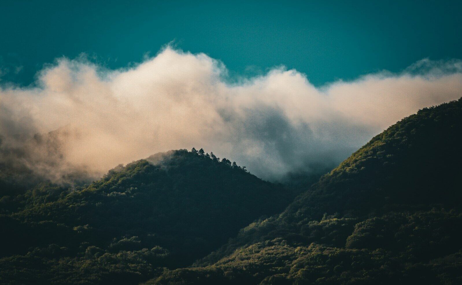 a mountain covered in clouds and trees under a blue sky