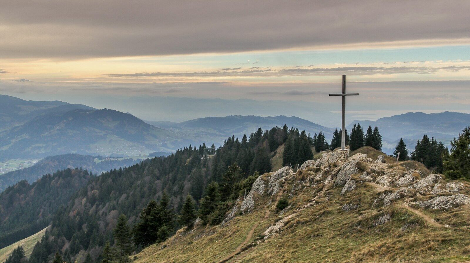 gray cross near tall green trees