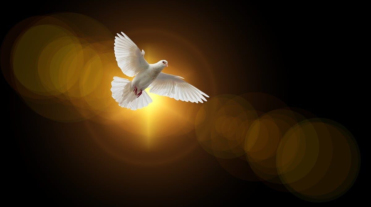 faith, dove, holy spirit, christianity, christian, church, religion, bible, apostle, jesus, ghost, god, new testament, pentecost, dove, dove, dove, dove, holy spirit, holy spirit, holy spirit, holy spirit, bible, bible, jesus, jesus, jesus, jesus, jesus, god