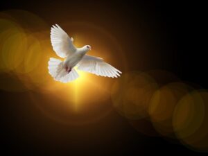 faith, dove, holy spirit, christianity, christian, church, religion, bible, apostle, jesus, ghost, god, new testament, pentecost, dove, dove, dove, dove, holy spirit, holy spirit, holy spirit, holy spirit, bible, bible, jesus, jesus, jesus, jesus, jesus, god