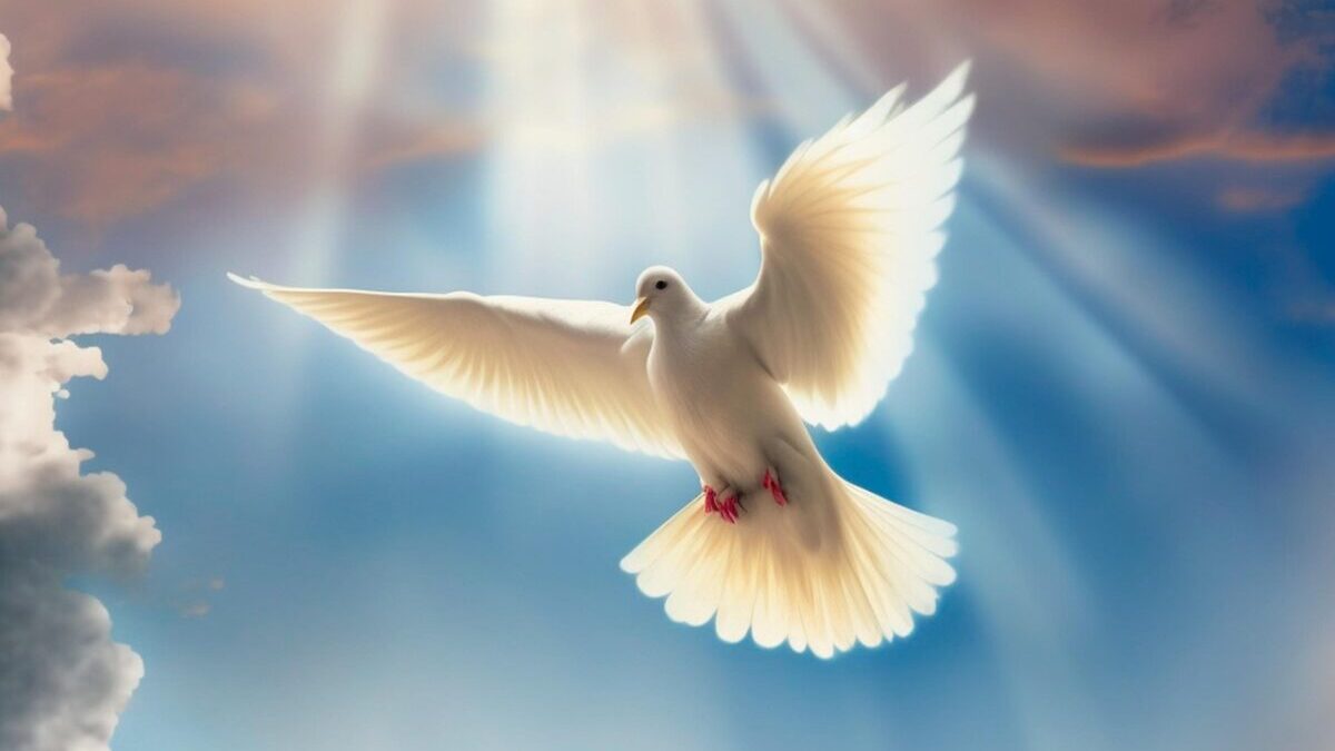 paloma, darling, bird, holy spirit, faith, nature, light, god, trinity, generated by ai