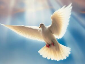 paloma, darling, bird, holy spirit, faith, nature, light, god, trinity, generated by ai