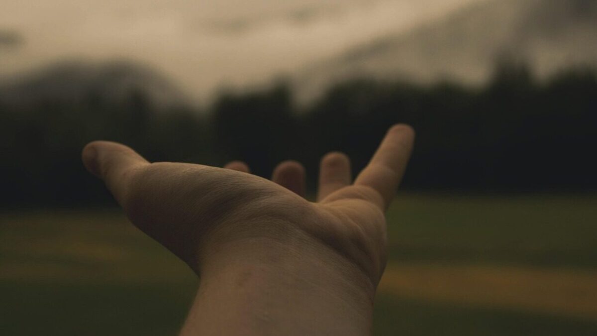 hand, hold, reach, place, outstretched arms, love, people, holding, woman, together, person, white, group, human, support, child, care, unity, silhouette, happy, romantic, symbol, romance, marriage, brown love, brown happy, brown support, brown wedding, brown group, brown human, brown care, brown happiness, brown together, reach, support, support, support, support, support, care, care, unity