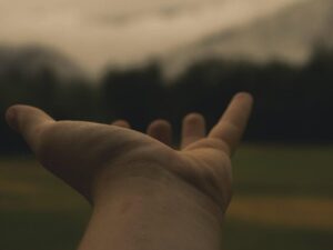 hand, hold, reach, place, outstretched arms, love, people, holding, woman, together, person, white, group, human, support, child, care, unity, silhouette, happy, romantic, symbol, romance, marriage, brown love, brown happy, brown support, brown wedding, brown group, brown human, brown care, brown happiness, brown together, reach, support, support, support, support, support, care, care, unity