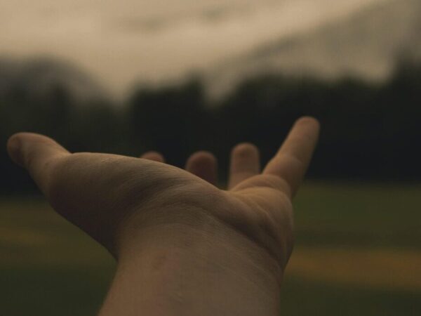 hand, hold, reach, place, outstretched arms, love, people, holding, woman, together, person, white, group, human, support, child, care, unity, silhouette, happy, romantic, symbol, romance, marriage, brown love, brown happy, brown support, brown wedding, brown group, brown human, brown care, brown happiness, brown together, reach, support, support, support, support, support, care, care, unity
