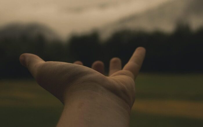 hand, hold, reach, place, outstretched arms, love, people, holding, woman, together, person, white, group, human, support, child, care, unity, silhouette, happy, romantic, symbol, romance, marriage, brown love, brown happy, brown support, brown wedding, brown group, brown human, brown care, brown happiness, brown together, reach, support, support, support, support, support, care, care, unity